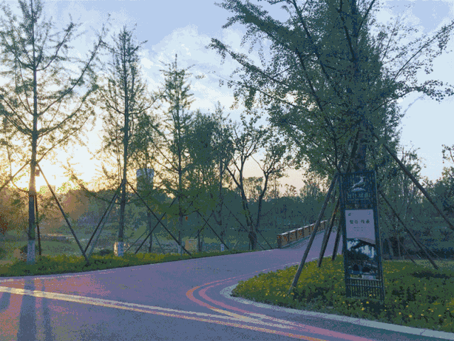 关于开发者社区动态显示，去中心化引发社区热议的信息